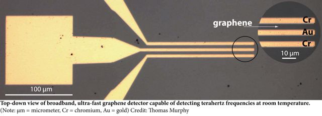 Graphene Detector. Click image to download hi-res version.