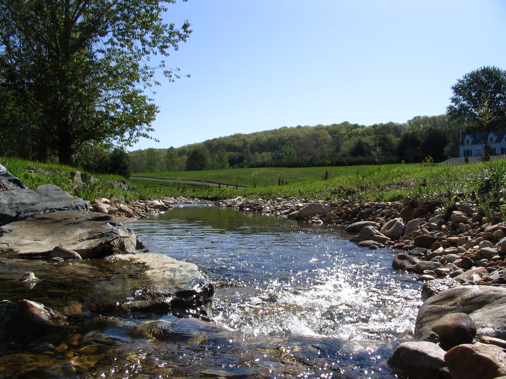  stream restoration project