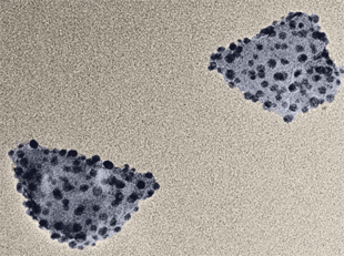 This electron microscope image shows two hybrid nanoparticles, each consisting of a nanodiamond (roughly 50 nanometers wide) covered in smaller silver nanoparticles that enhance the diamond’s optical properties. Image credit: Min Ouyang (Click image to download hi-res version.)