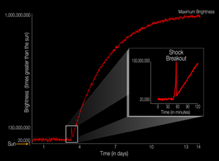 For the first time, a supernova shock wave, or shock breakout, has been observed in visible light wavelengths. This diagram illustrates the brightness of a supernova event relative to the sun as the supernova unfolds over time. The explosive death of this star, called KSN 2011d, reached its maximum brightness in about 14 days. The shock breakout itself lasted only about 20 minutes (see inset). Image credit: NASA Ames, W. Stenzel (Click image to download hi-res version.)