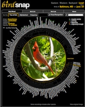 The birdsnap website. Photo: Columbia University. Click image to download hi-res version.
