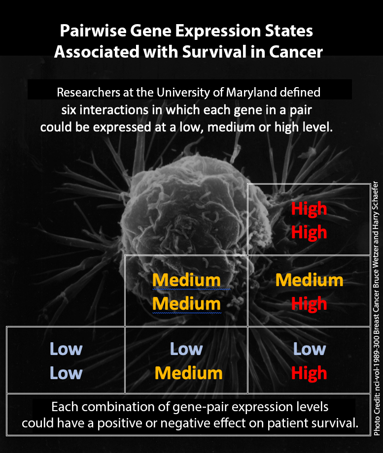 Pairwise Gene Expression States Associated with Survival in Cancer (Click on image for hi res version.)