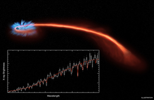 This illustration of a recently observed tidal disruption, named ASASSN-14li, shows a disk of stellar debris around the black hole at the upper left. A long tail of ejected stellar debris extends to the right, far from the black hole. The X-ray spectrum obtained with NASA’s Chandra X-ray Observatory (seen in the inset box) and ESA’s XMM-Newton satellite both show clear evidence for dips in X-ray intensity over a narrow range of wavelengths. These dips are shifted toward bluer wavelengths than expected, providing evidence for a wind blowing away from the black hole. Image credit: NASA/CXC/M. Weiss (Click image to download hi-res version.)