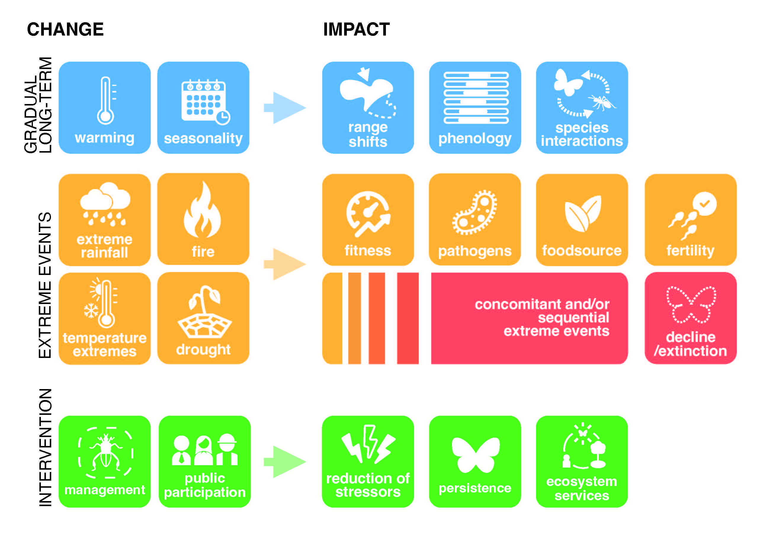 A chart outlines the changes to insect communities and their various impacts. For instance, gradual, long-term changes in warming and seasonality can lead to range shifts and impacts to phenology and species interactions.