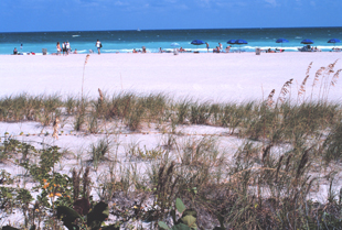 Spending time in natural areas, such as this clean beach, can help humans maintain their connection to nature and can enhance feelings of psychological wellbeing. Image credit: NOAA (Click image to download hi-res version.)