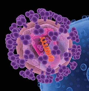 An artist's rendition of HIV (foreground). The knobs (purple) covering the virus are sugar-protein molecules, including gp120, that shield the rest of the virus (pink). Illustration: National Cancer Institute (Click image to download high-res version.)