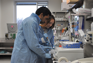 Rushi Challa and Natalie Ivanina working in the laboratory. Photo: Daniel Serrano, University of Maryland (Click image to download hi-res version.)