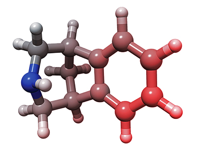 A 3D model of the modified benzazepine molecule on which the smoking cessation drug Chantix is based.