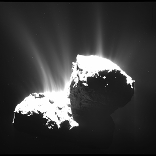 The wide-angle camera of Rosetta's OSIRIS instrument took this image on Nov. 22, 2014, at a distance of 30 kilometers from Comet 67P/Churyumov-Gerasimenko. The image resolution is 2.8 meters per pixel. The nucleus is deliberately overexposed in order to reveal the faint jets of activity. Photo: ESA/Rosetta/MPS for OSIRIS Team (Click image to download hi-res version.)