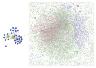 An example of entity resolution: GrDB, a network analysis tool, enables scientists to interactively explore a large, noisy information network (right) and identify that the two green nodes (above) refer to the same person. Illustration by Hui Miao; Tool developed by Miao, Walaa Moustafa, Amol Deshpande, and Lise Getoor. 
