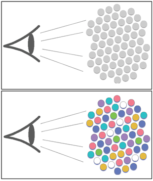 Ethnocentrism results when members of one group view members of another group as undifferentiated and interchangeable (top image). In contrast, increased mobility in a society results in reduced ethnocentric perceptions and behaviors (bottom image). In this scenario, members of a group can respond to differences between individuals in another group. Image credit: Dana Nau/UMD (Click image to download hi-res version.)