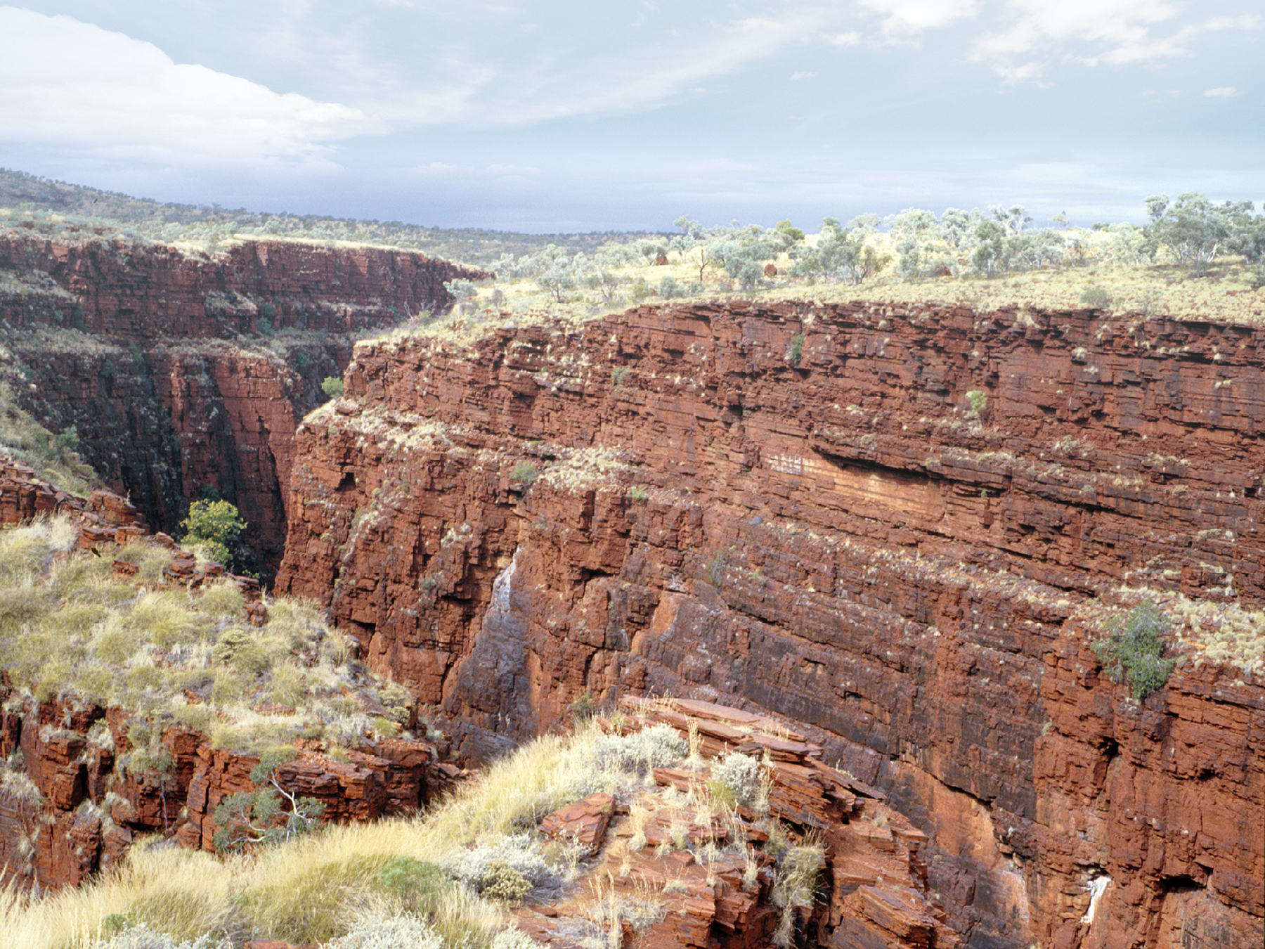 A photo of Dale's Gorge in Australia, showing banded iron rock formations that document the Great Oxyenation Event.