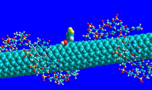 molecular model of quantum sensor