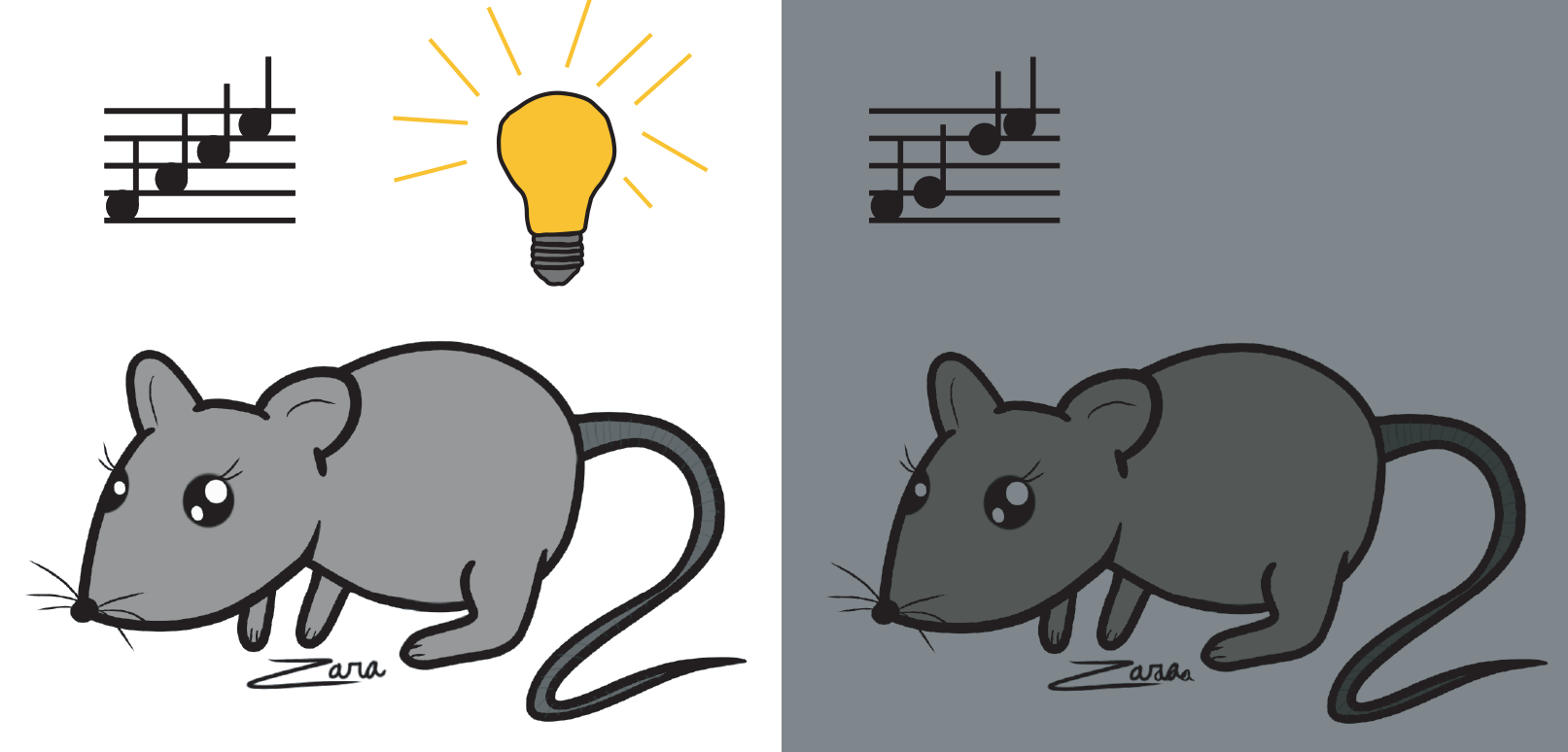 Using mice as a model, researchers at UMD found that a week in the dark changes auditory cortex circuits in adult brains, altering sensitivity to different frequencies long after the optimal age for sensory learning. Image Credit: Zara Kanold-Tso