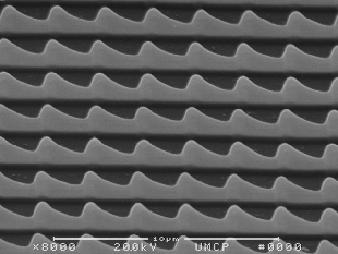 Nanoscale sawtooth-patterned surfaces, such as this one seen at 8,000x magnification, can guide the motion of cells in a preferred direction, according to new research at the University of Maryland. Image credit: J. Fourkas/W. Losert (click image to download hi-res version.)