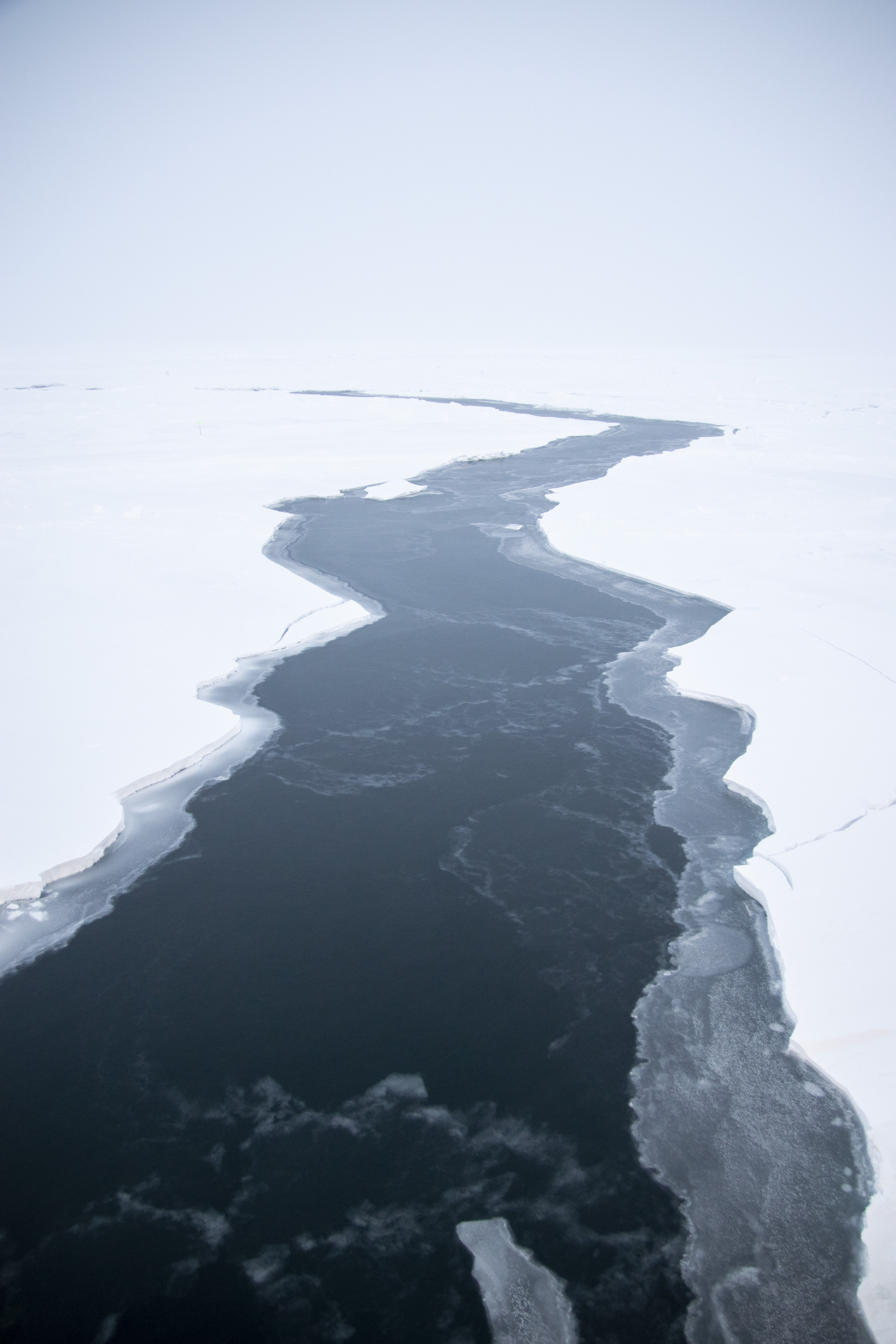 Arctic sea ice. Photo courtesy of Steven Fons. Click image to download hi-res version.